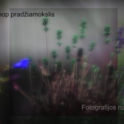 Photoshop pamokos